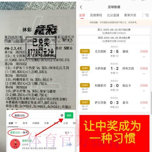 深度解析世界杯竞猜平台用户口碑与评测